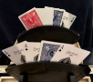 Bicycle 1 Deck One Way 52 ACE SPADES Blue Force Playing Same +4 Gaff Magic Cards - 